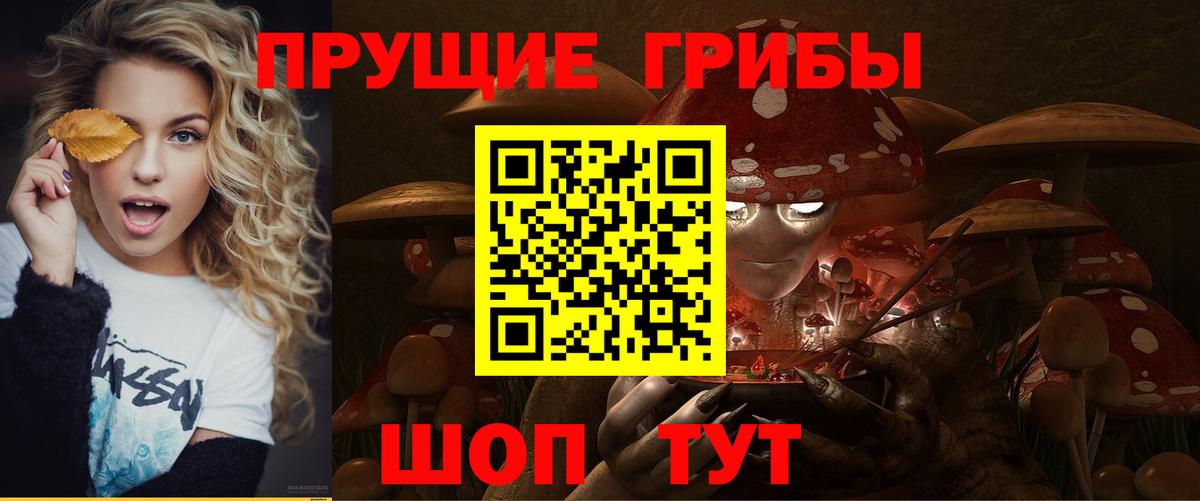 Галлюциногенные грибы Magic Shrooms  Вход с VPN  Касимов  купить  цена  Галлюциногенные грибы прущие грибы 